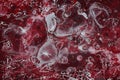 Spilled red paint on a thinner solution forming an abstract pattern. Royalty Free Stock Photo