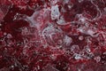 Spilled red paint on a thinner solution forming an abstract pattern. Royalty Free Stock Photo