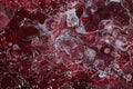 Spilled red paint on a thinner solution forming an abstract pattern. Royalty Free Stock Photo