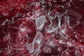 Spilled red and white paint on liquid thinner to form an abstract pattern. Royalty Free Stock Photo