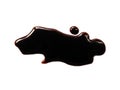 Spilled soy sauce sauce puddle isolated on white background. Royalty Free Stock Photo