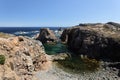 Spiller's Cove Coastline, Twillingate, Newfoundland Royalty Free Stock Photo