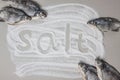 Spilling salt and dried salted fish Royalty Free Stock Photo