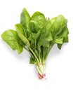 Spinach Royalty Free Stock Photo