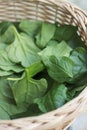 Spinach in basket Royalty Free Stock Photo