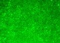 Spinach cell structure pattern