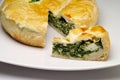 Spinach and cheese pie Royalty Free Stock Photo