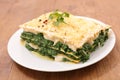Spinach and cream lasagne Royalty Free Stock Photo