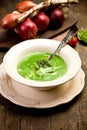 Spinach Cream Soup Royalty Free Stock Photo