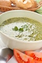 Spinach Cream Soup Royalty Free Stock Photo