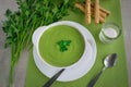 Spinach cream soup