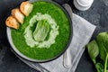 Spinach Cream Soup Royalty Free Stock Photo