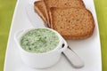 Spinach dip with toasts Royalty Free Stock Photo