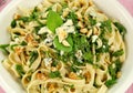 Spinach Fettucini Royalty Free Stock Photo