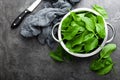 Spinach. Fresh spinach leaves in bowl