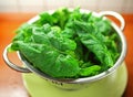 Spinach Royalty Free Stock Photo