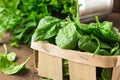 Spinach. Fresh organic spinach leaves in basket a wooden table. Diet, dieting concept. Vegan food, healthy eating.
