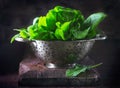 Spinach. Fresh organic spinach leaves in metal colander on a wooden table