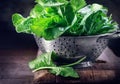 Spinach. Fresh organic spinach leaves in metal colander on a wooden table