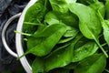 Spinach. Fresh spinach leaves. Top view