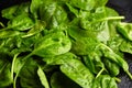 Spinach fresh wet green leaves with water drops, closeup Royalty Free Stock Photo