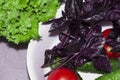 Spinach, greens, cucumbers, tomatoes, basil collected at their dacha lie in a white bowl, in a gray kitchen for cooking