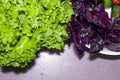 Spinach, greens, cucumbers, tomatoes, basil collected at their dacha lie in a white bowl, in a gray kitchen for cooking