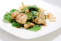 Spinach and grilled chicken salad Royalty Free Stock Photo