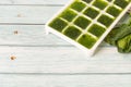 spinach ice cubes. frozen greens cubes