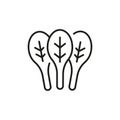 Spinach Icon