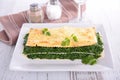 Spinach lasagne with cheese Royalty Free Stock Photo