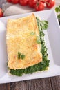 Spinach lasagne with cream Royalty Free Stock Photo