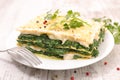 Spinach lasagne with cream Royalty Free Stock Photo