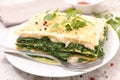 Spinach lasagne Royalty Free Stock Photo