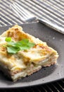spinach lasagne with salmon Royalty Free Stock Photo
