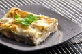 spinach lasagne with salmon Royalty Free Stock Photo