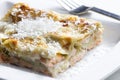 spinach lasagne with salmon Royalty Free Stock Photo