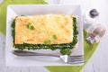 Spinach lasagne Royalty Free Stock Photo