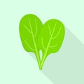 Spinach leaf icon, flat style