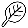 Spinach leaf icon, outline style
