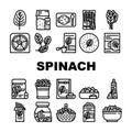 spinach leaf salad green food icons set vector