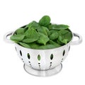 Spinach Leaves Royalty Free Stock Photo