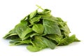 Spinach Leaves