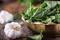 Spinach leaves.Fresh spinach leaves and garlic in retro bowl on oak wood board. Selective focus