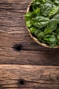 Spinach leaves.Fresh spinach leaves in retro bowl on oak wood board.