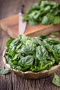 Spinach leaves.Fresh spinach leaves in retro bowl on oak wood board.