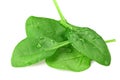 spinach leaves isolate on white background. Healthy food Royalty Free Stock Photo