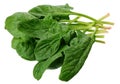 spinach leaves isolate on white background. Healthy food Royalty Free Stock Photo