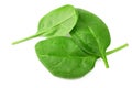 spinach leaves isolate on white background. Healthy food. Top view Royalty Free Stock Photo