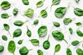 Spinach leaves over a white concrete background. Top view. Flat lay. Close-up. Text copy space. Royalty Free Stock Photo